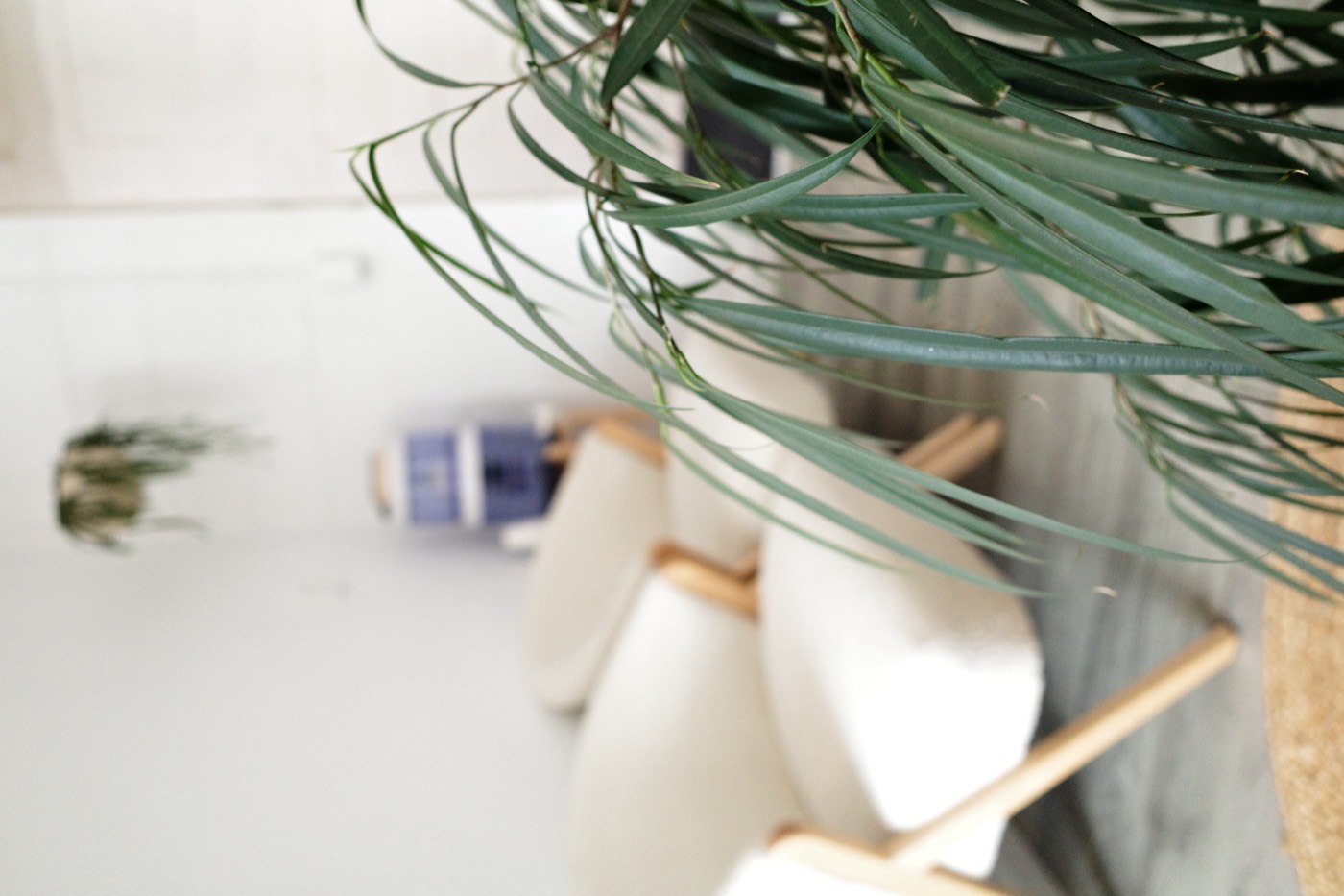 Inside the Sprout Natural Health clinic at Paradise Point